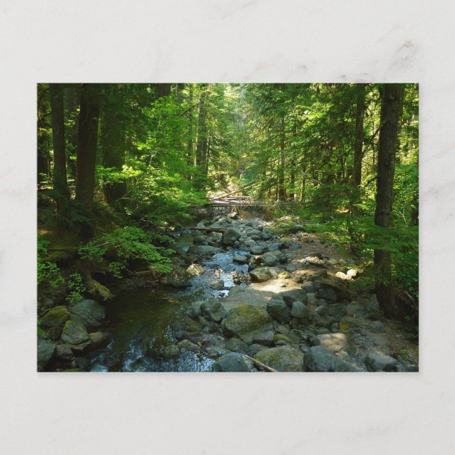 Laughingwater Creek vid Mount Rainier National Par Vykort (Framsida)