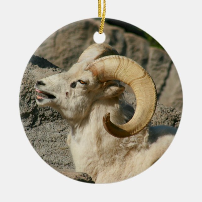 Laughny Bighorn Sheep eller Ram Julgransprydnad Keramik (Framsidan)