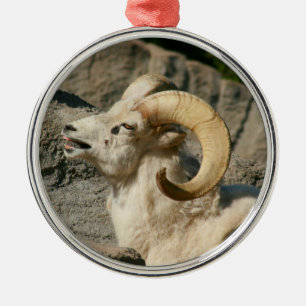 Laughny Bighorn Sheep eller Ram Julgransprydnad Metall