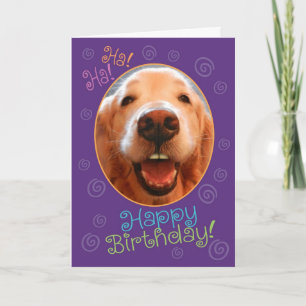 Laughny Golden Retriever Birthday Card Kort