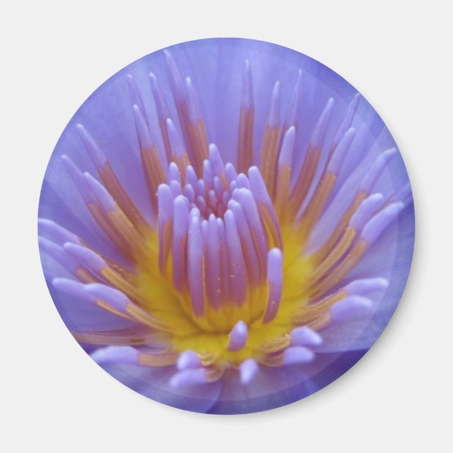 Laura Frase Magnet (Framsidan)