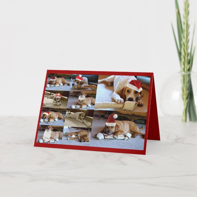 laura hundar helgkort (Framsida)