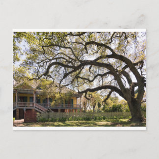 Laura Plantation, New Orlean Vykort