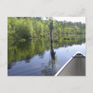 "LAURA S. WALKER STATE PARK" VYKORT