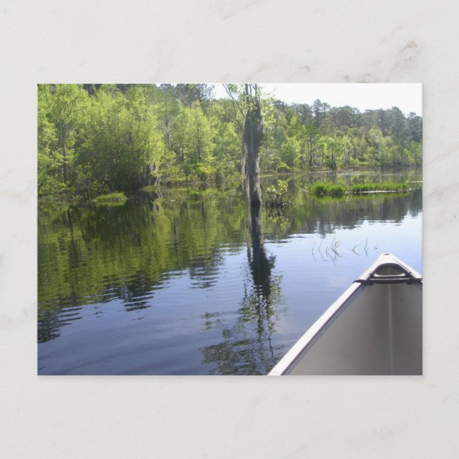 "LAURA S. WALKER STATE PARK" VYKORT (Framsida)