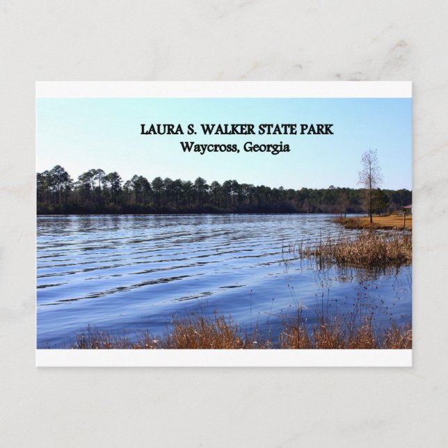 LAURA S. WALKER STATE PARK - Waycross, Georgia Vykort (Framsida)