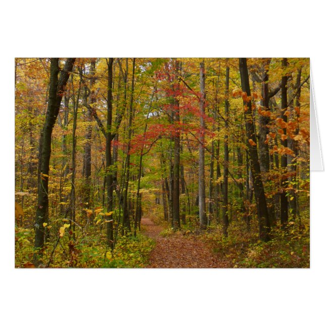 Laurel Backe Trail in Fall Hälsningskort (Framsidan Horizontal)