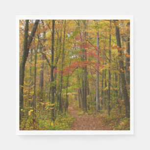 Laurel Backe Trail in Fall Pappersservett