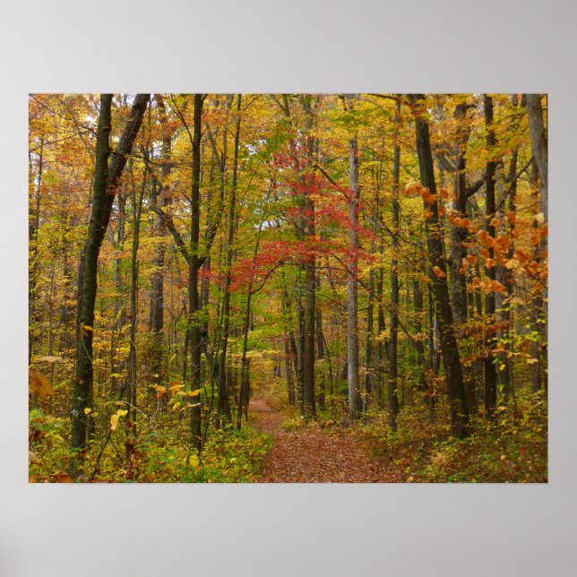 Laurel Backe Trail in Fall Poster (Framsidan)