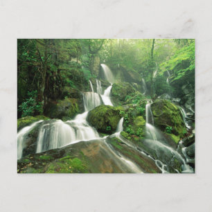 Laurel Falls, Tennessee Vykort