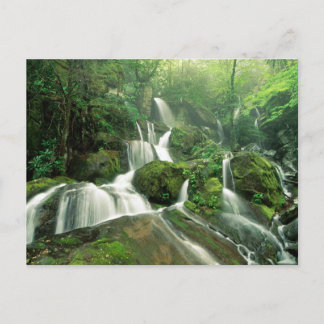 Laurel Falls, Tennessee Vykort