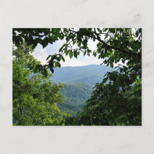 Laurel Falls Vykort