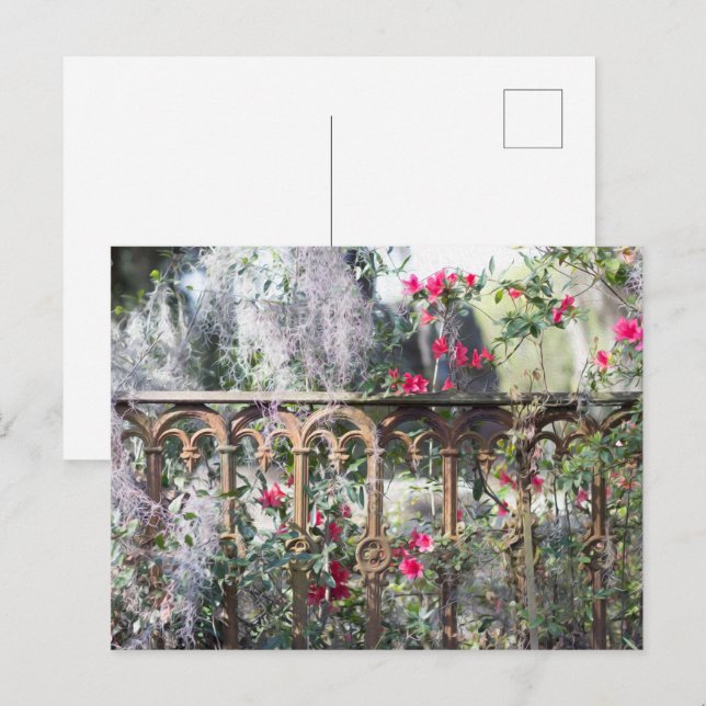 Laurel Grove för Savannah-postkort Vykort (Fram/baksida)