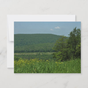 Laurel Highlands Pennsylvania Sommarfotografi