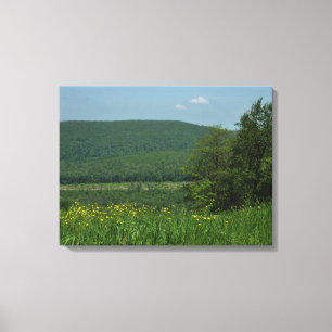 Laurel Highlands Pennsylvania Sommarfotografi Canvastryck