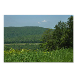 Laurel Highlands Pennsylvania Sommarfotografi Fototryck