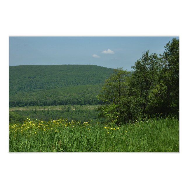 Laurel Highlands Pennsylvania Sommarfotografi Fototryck (Framsidan)