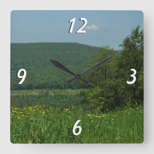 Laurel Highlands Pennsylvania Sommarfotografi Fyrkantig Klocka
