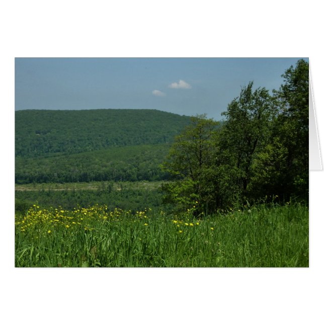 Laurel Highlands Pennsylvania Sommarfotografi Hälsningskort (Framsidan Horizontal)