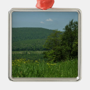 Laurel Highlands Pennsylvania Sommarfotografi Julgransprydnad Metall