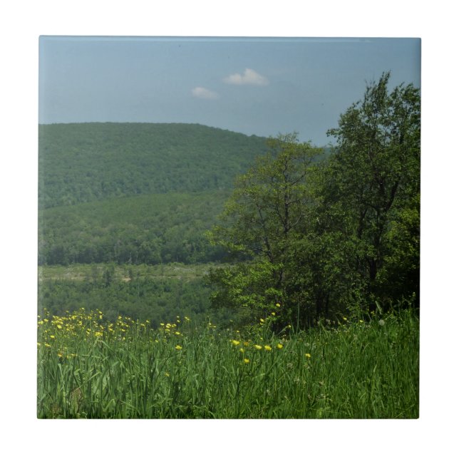 Laurel Highlands Pennsylvania Sommarfotografi Kakelplatta (Framsidan)