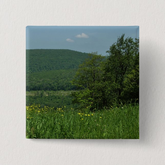 Laurel Highlands Pennsylvania Sommarfotografi Knapp (Framsida)