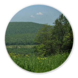 Laurel Highlands Pennsylvania Sommarfotografi Knopp