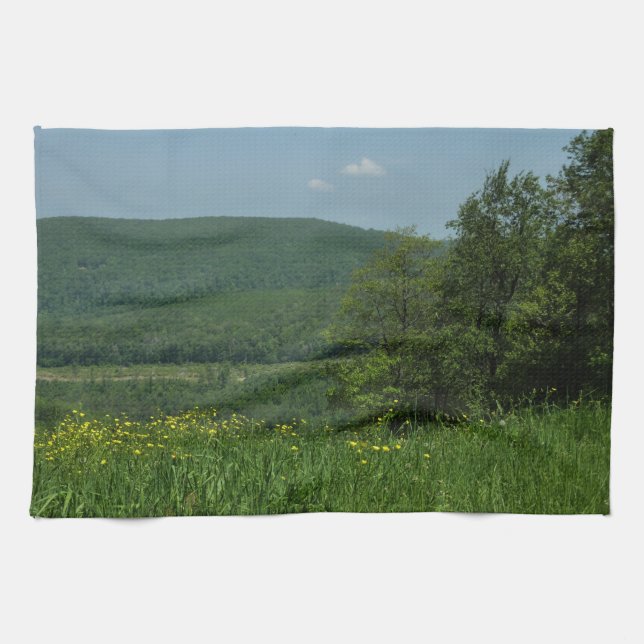 Laurel Highlands Pennsylvania Sommarfotografi Kökshandduk (Horisontell)