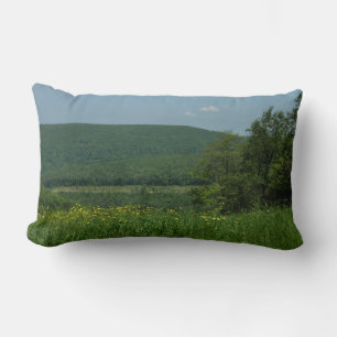 Laurel Highlands Pennsylvania Sommarfotografi Lumbarkudde