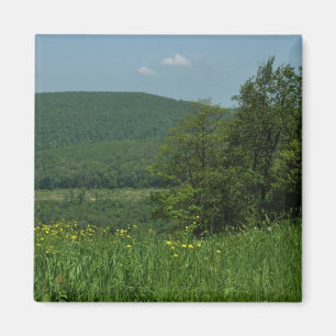 Laurel Highlands Pennsylvania Sommarfotografi Magnet