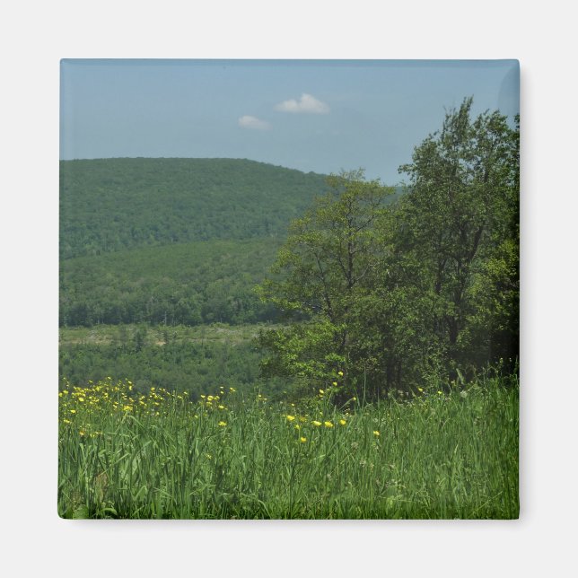 Laurel Highlands Pennsylvania Sommarfotografi Magnet (Framsidan)