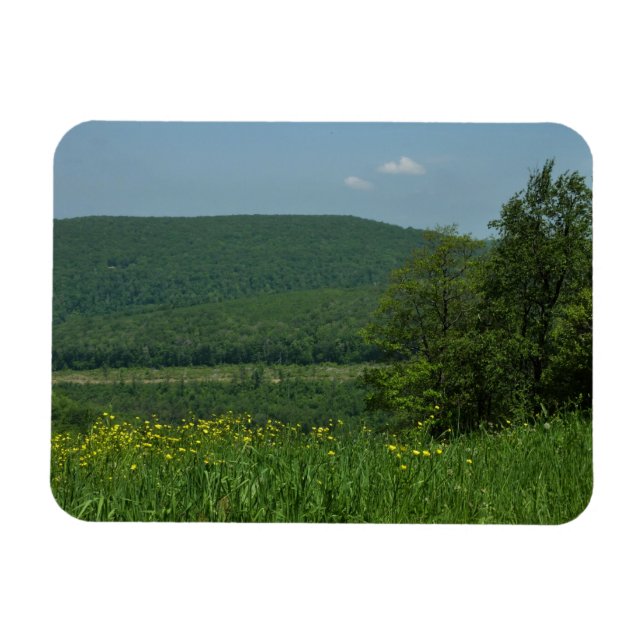 Laurel Highlands Pennsylvania Sommarfotografi Magnet (Horisontell)