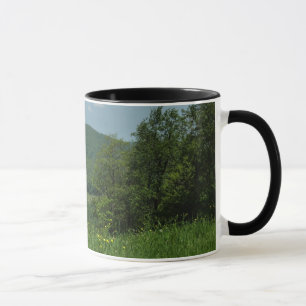 Laurel Highlands Pennsylvania Sommarfotografi Mugg