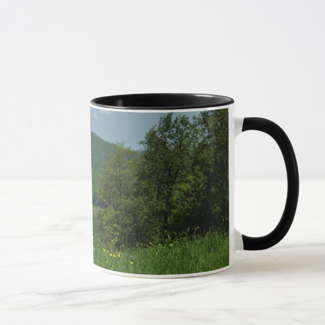 Laurel Highlands Pennsylvania Sommarfotografi Mugg (Höger)