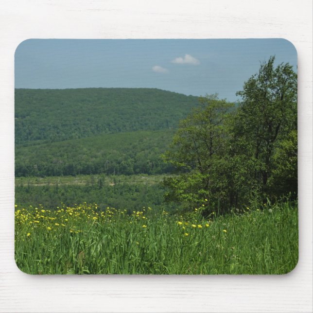 Laurel Highlands Pennsylvania Sommarfotografi Musmatta (Framsidan)