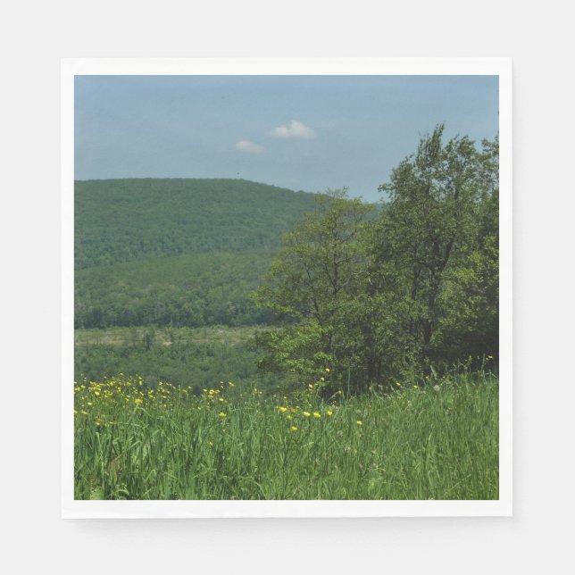 Laurel Highlands Pennsylvania Sommarfotografi Pappersservett (Framsidan)