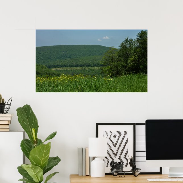 Laurel Highlands Pennsylvania Sommarfotografi Poster (Hemmakontoret)