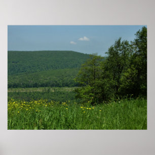 Laurel Highlands Pennsylvania Sommarfotografi Poster