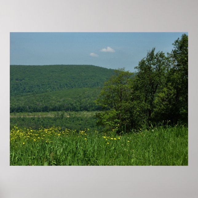 Laurel Highlands Pennsylvania Sommarfotografi Poster (Framsidan)