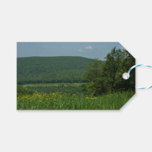 Laurel Highlands Pennsylvania Sommarfotografi Presentetikett