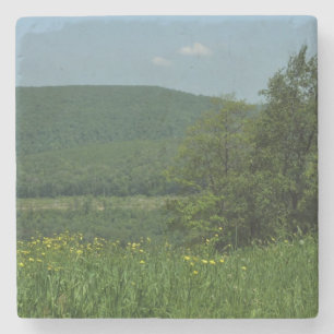 Laurel Highlands Pennsylvania Sommarfotografi Stenunderlägg