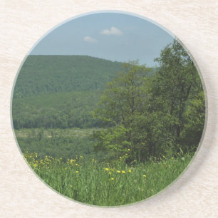 Laurel Highlands Pennsylvania Sommarfotografi Underlägg