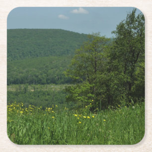Laurel Highlands Pennsylvania Sommarfotografi Underlägg Papper Kvadrat