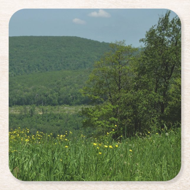 Laurel Highlands Pennsylvania Sommarfotografi Underlägg Papper Kvadrat (Framsidan)