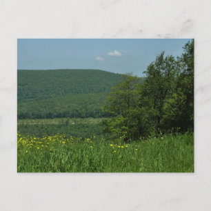 Laurel Highlands Pennsylvania Sommarfotografi Vykort