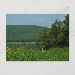 Laurel Highlands Pennsylvania Sommarfotografi Vykort