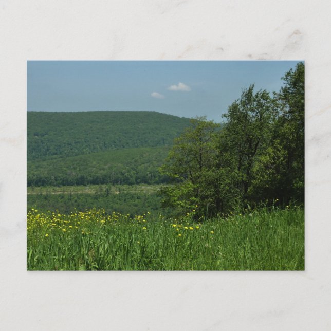 Laurel Highlands Pennsylvania Sommarfotografi Vykort (Framsida)