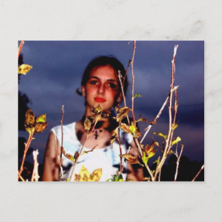 LaurenPostcard1 Vykort