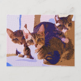 Laurie, Larry & Louie Meddelande Vykort