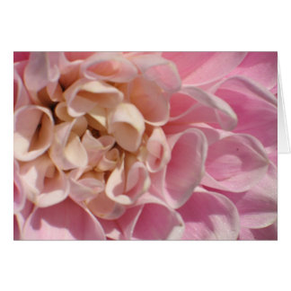 Lauries Dahlia Hälsningskort